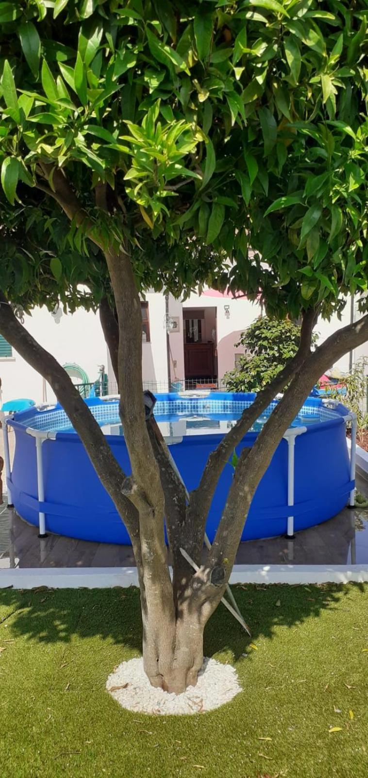 Cantinho Dos Moinhos 旧蒙特莫尔 外观 照片
