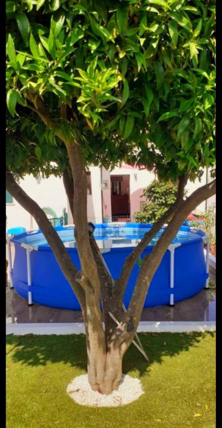 Cantinho Dos Moinhos 旧蒙特莫尔 外观 照片